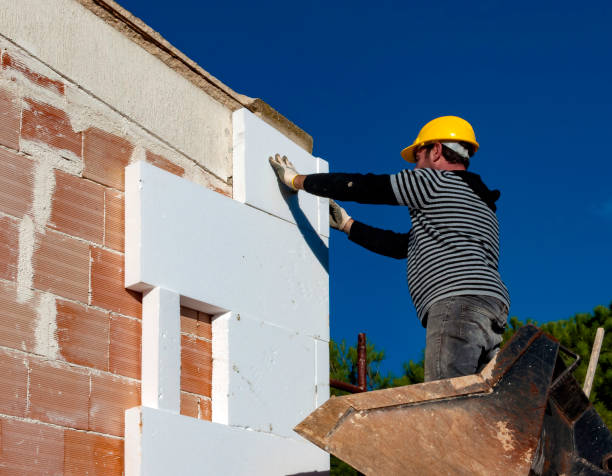 Best Energy-efficient Insulation  in Mcalester, OK