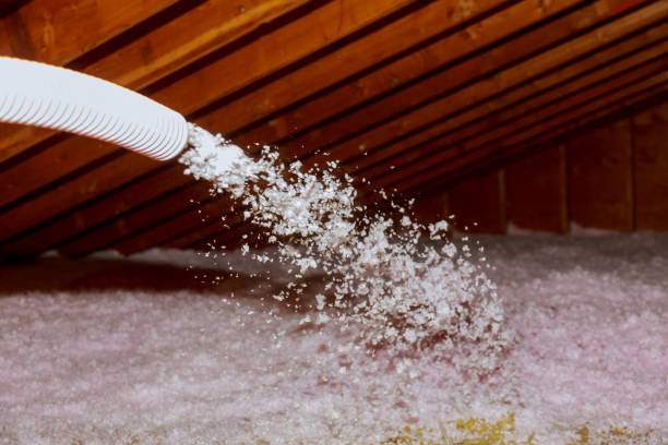 Best Residential Insulation Services  in Mcalester, OK