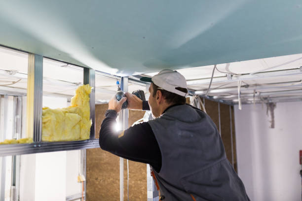 Best Insulation Removal Services  in Mcalester, OK