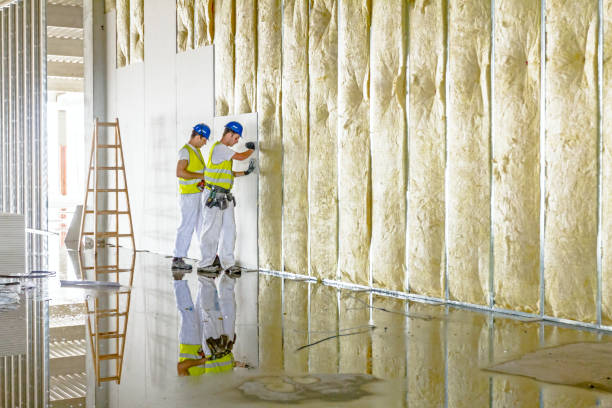 Best Attic Insulation Installation  in Mcalester, OK